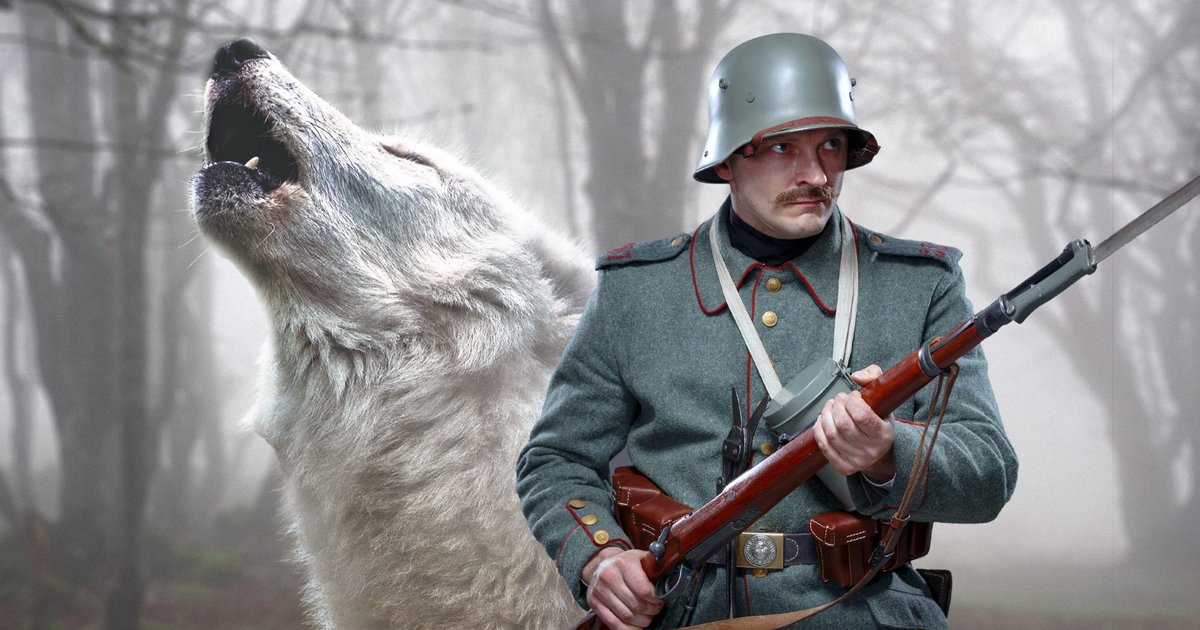 Wolfangriff auf Mensch in Deutschland seit 1998