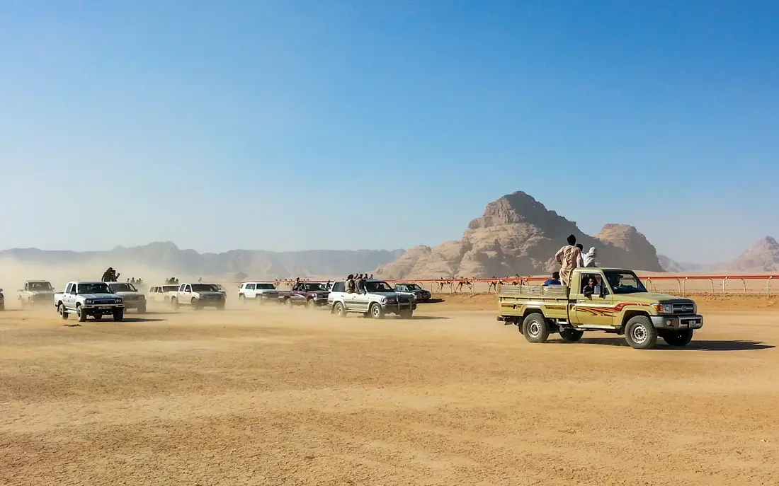 سباق للهجن في وادي الدواسر بحضور جماهيري كبير