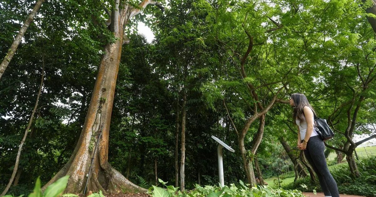 Biodiversitätsfestival 2026 in Singapur