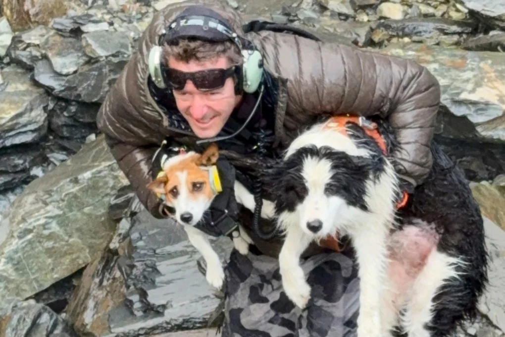Rescue of Lost Dog in New Zealand After Fundraising
