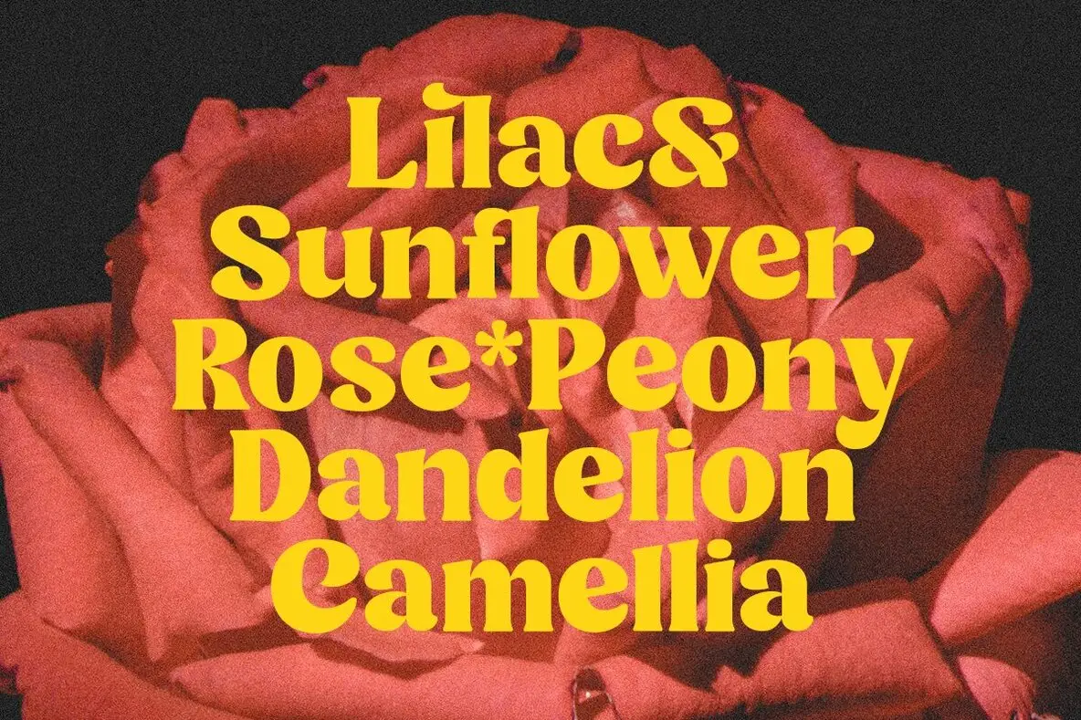 Préparations à Minya pour faire face aux intempéries